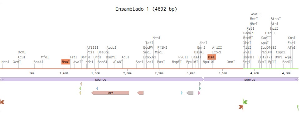 ensamblado1