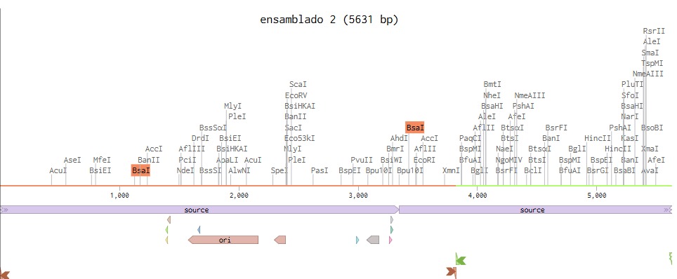 ensamblado1